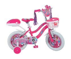 Lisanslı Bisikletler