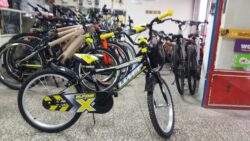 Ümit Alpina 20 jant v fren bisiklet